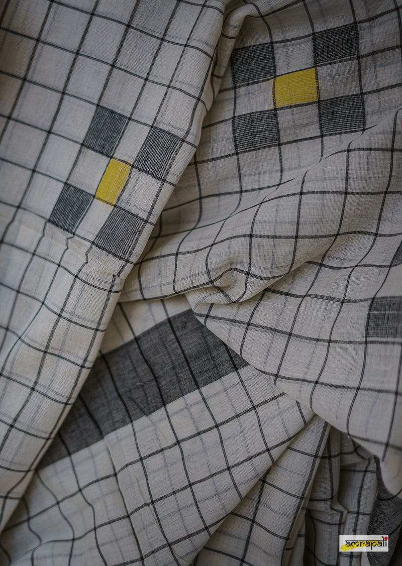 Checkered Handloom Cotton with Jamdani Motifs