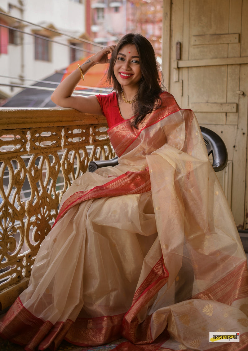 Handloom Chanderi Tissue Silk