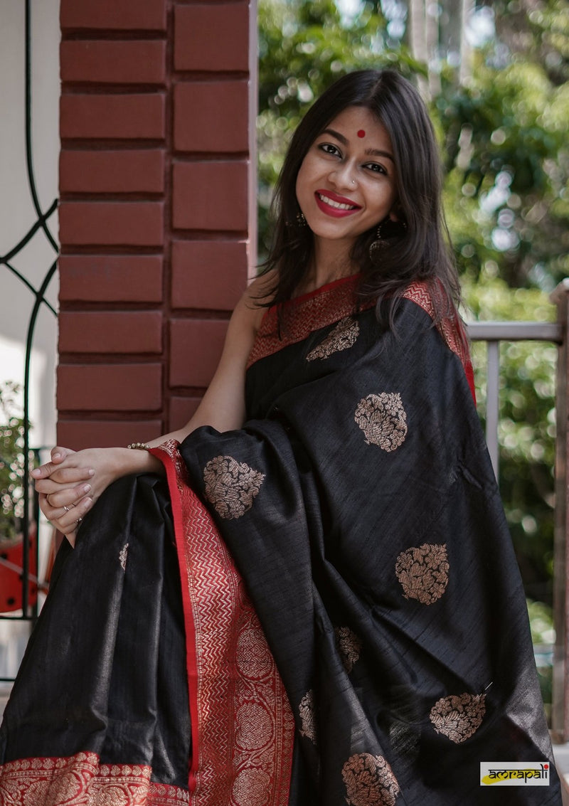 Handloom Black Pure Tussar Benarasi
