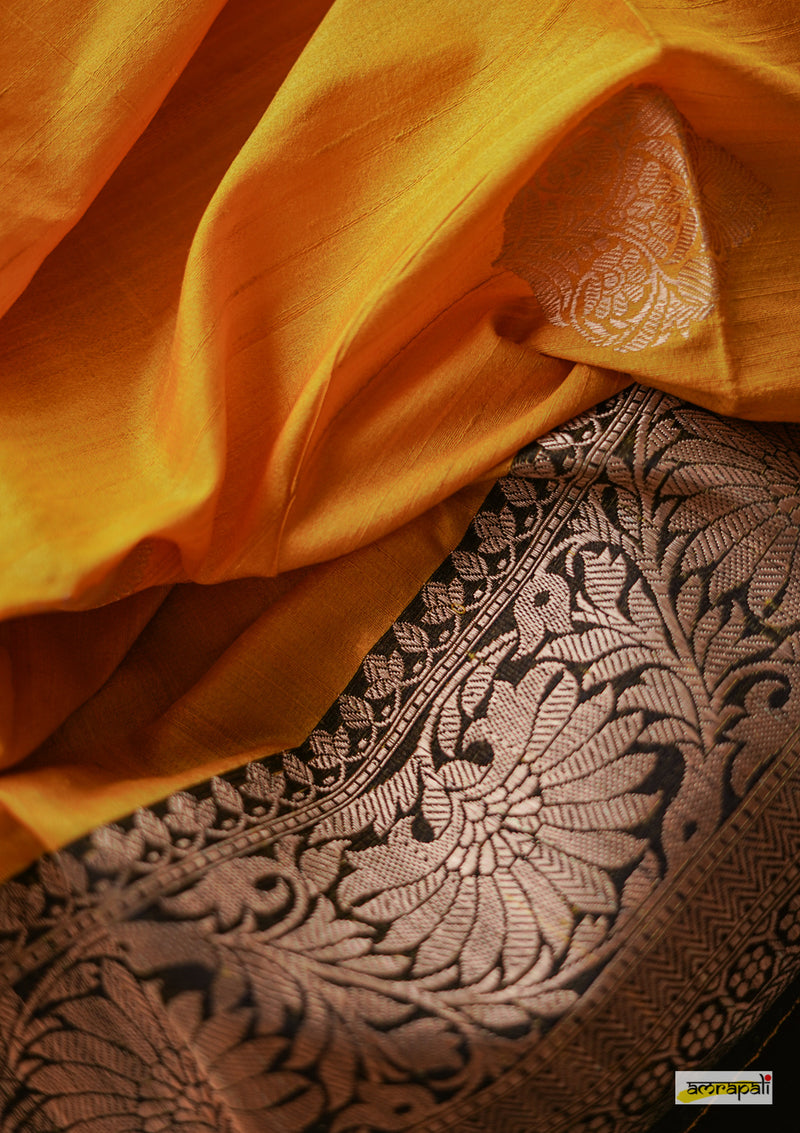 Handwoven Yellow Pure Tussar Benarasi - Limited Edition