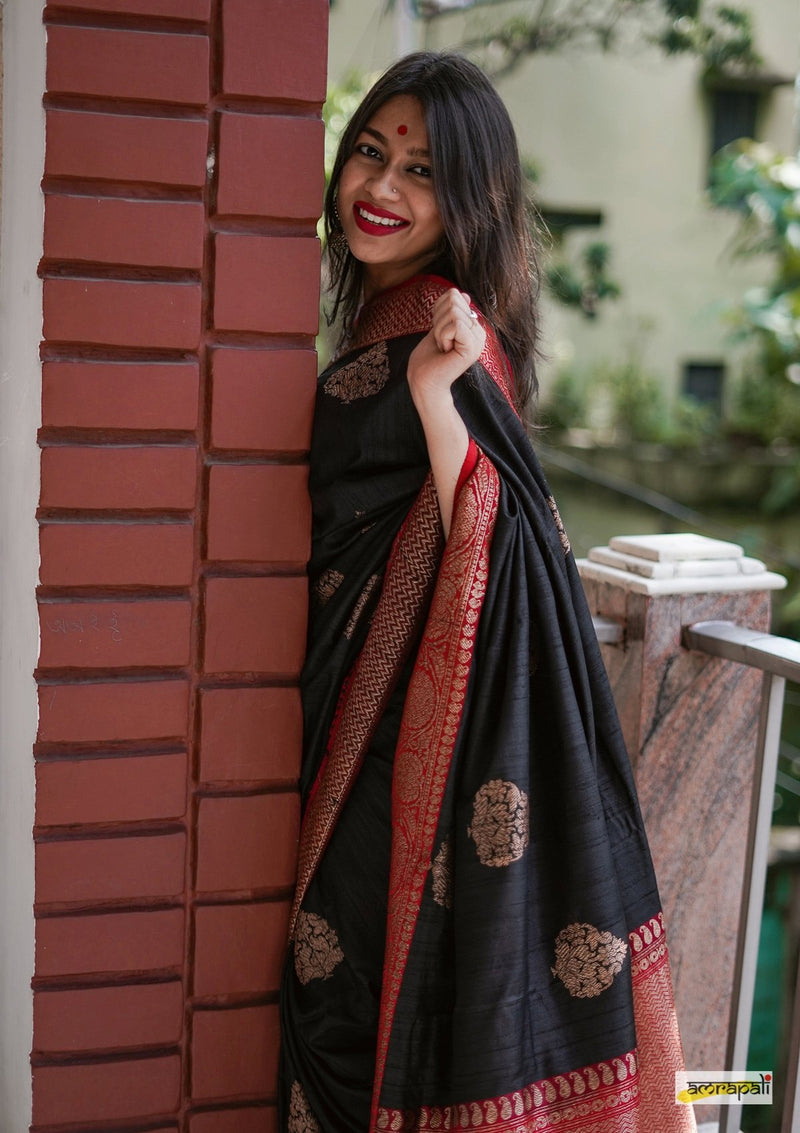 Handloom Black Pure Tussar Benarasi