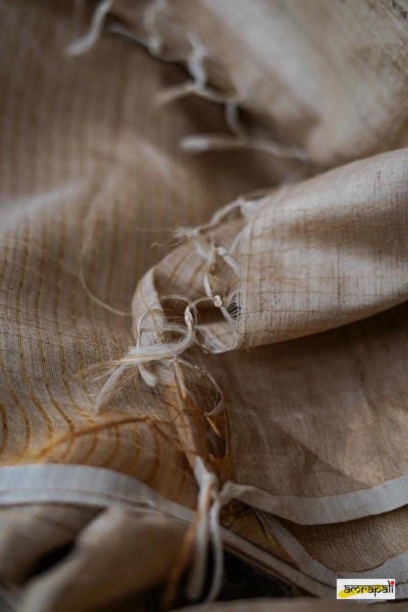 Pure Tussar with Gold Zari Pinstripes