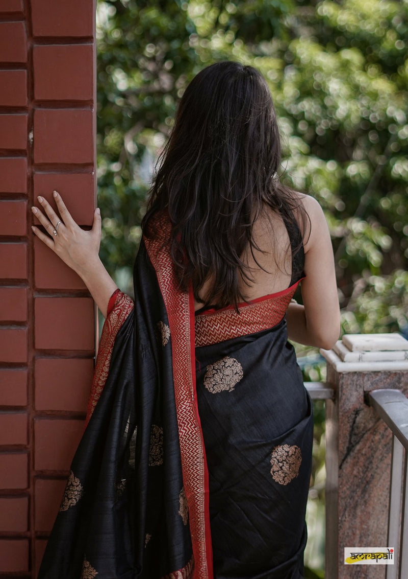 Handloom Black Pure Tussar Benarasi