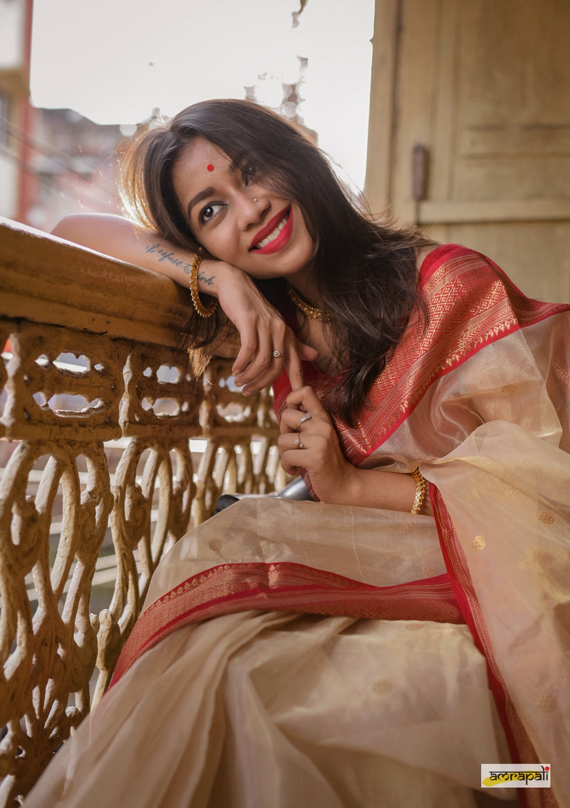 Handloom Chanderi Tissue Silk