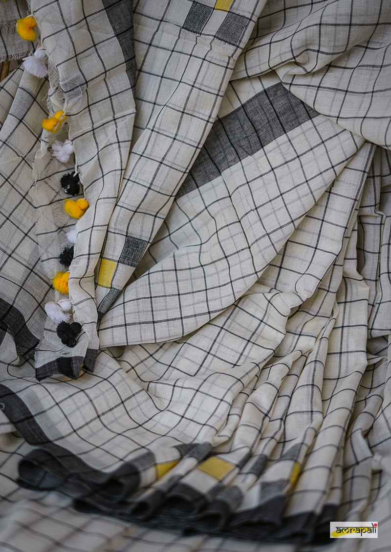 Checkered Handloom Cotton with Jamdani Motifs