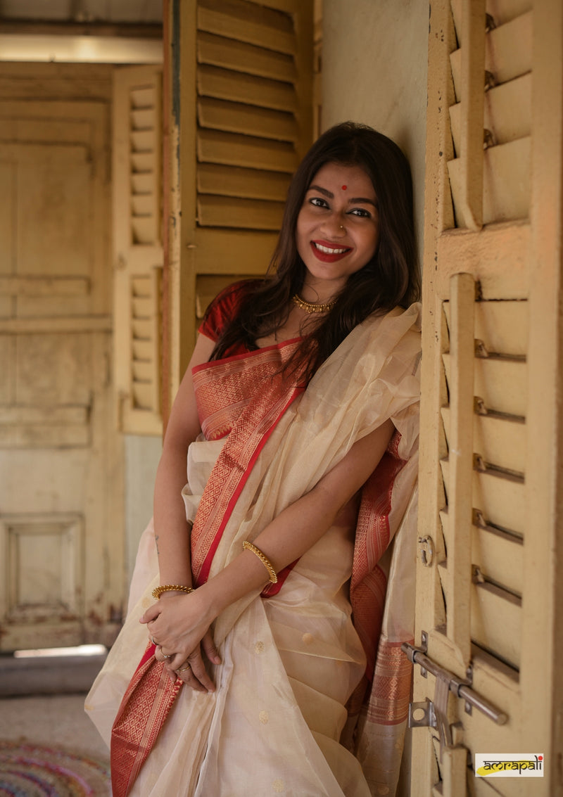 Handloom Chanderi Tissue Silk