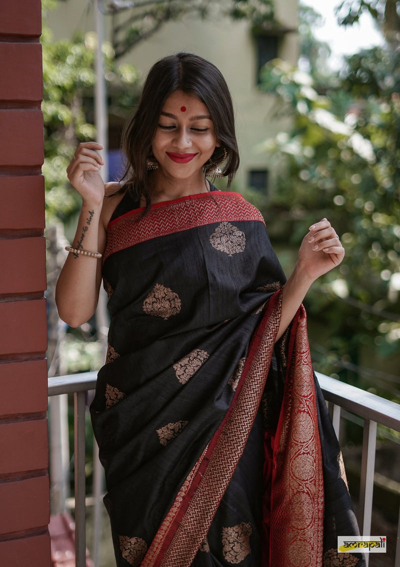 Handloom Black Pure Tussar Benarasi