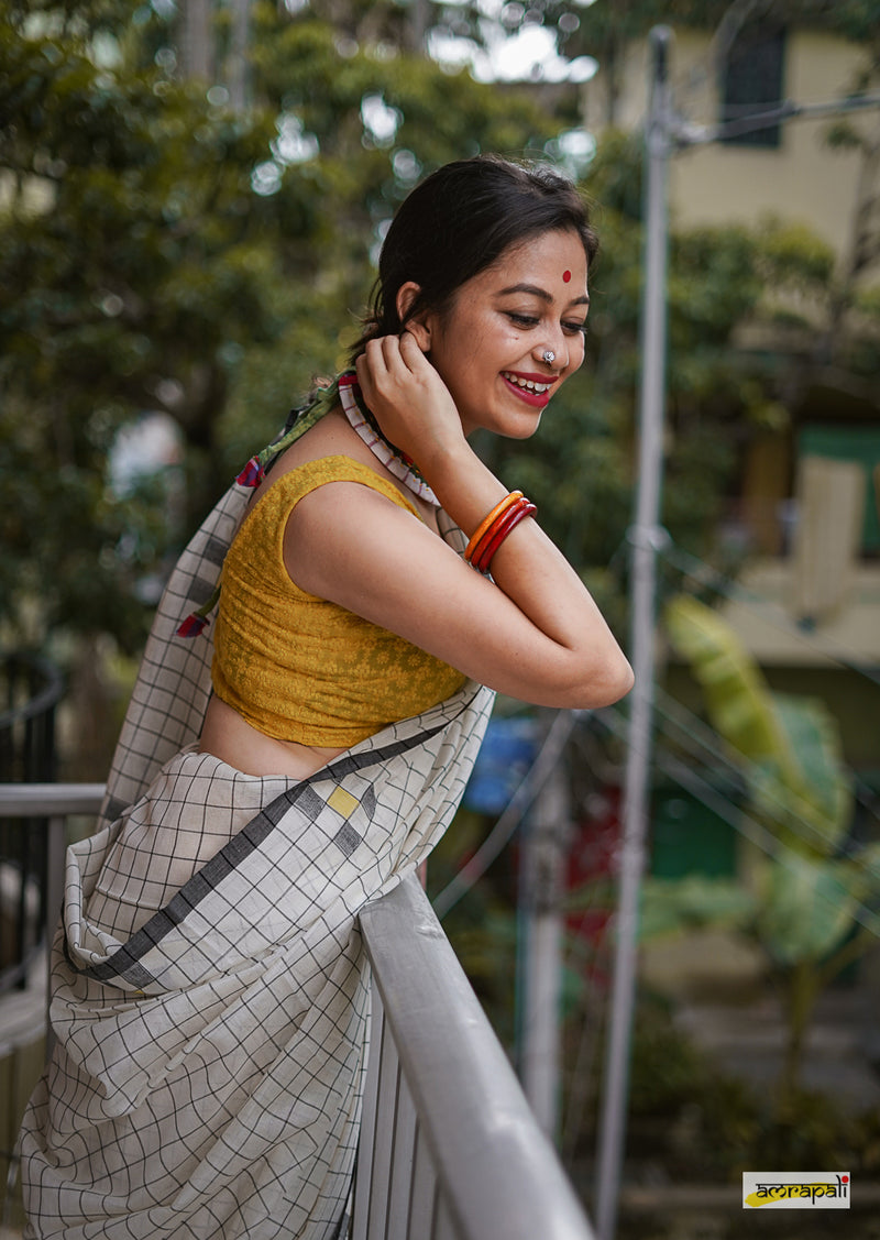 Checkered Handloom Cotton with Jamdani Motifs