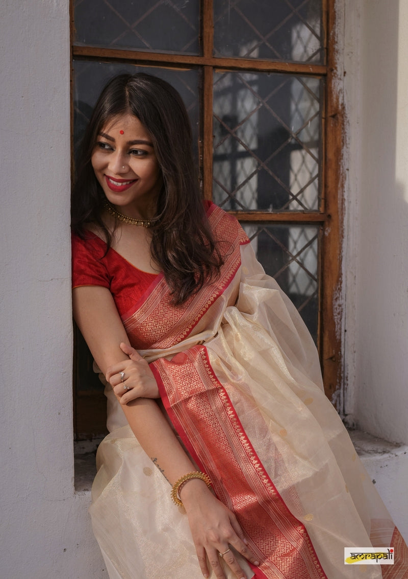 Handloom Chanderi Tissue Silk