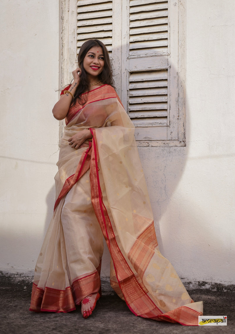 Handloom Chanderi Tissue Silk