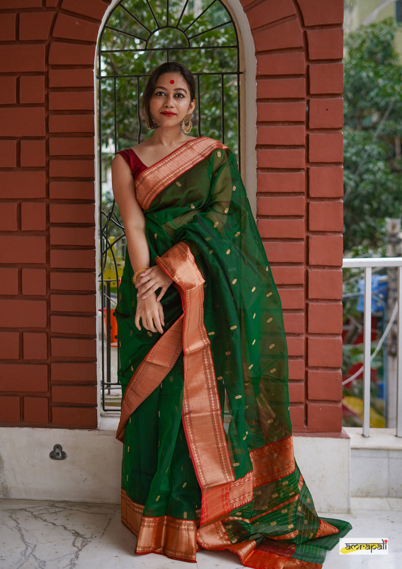 Handloom Pure Chanderi Katan Silk