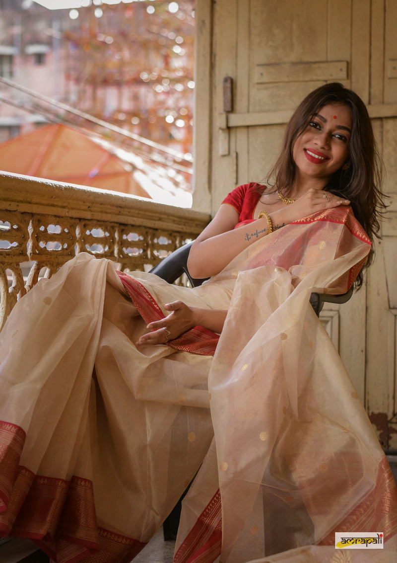Handloom Chanderi Tissue Silk