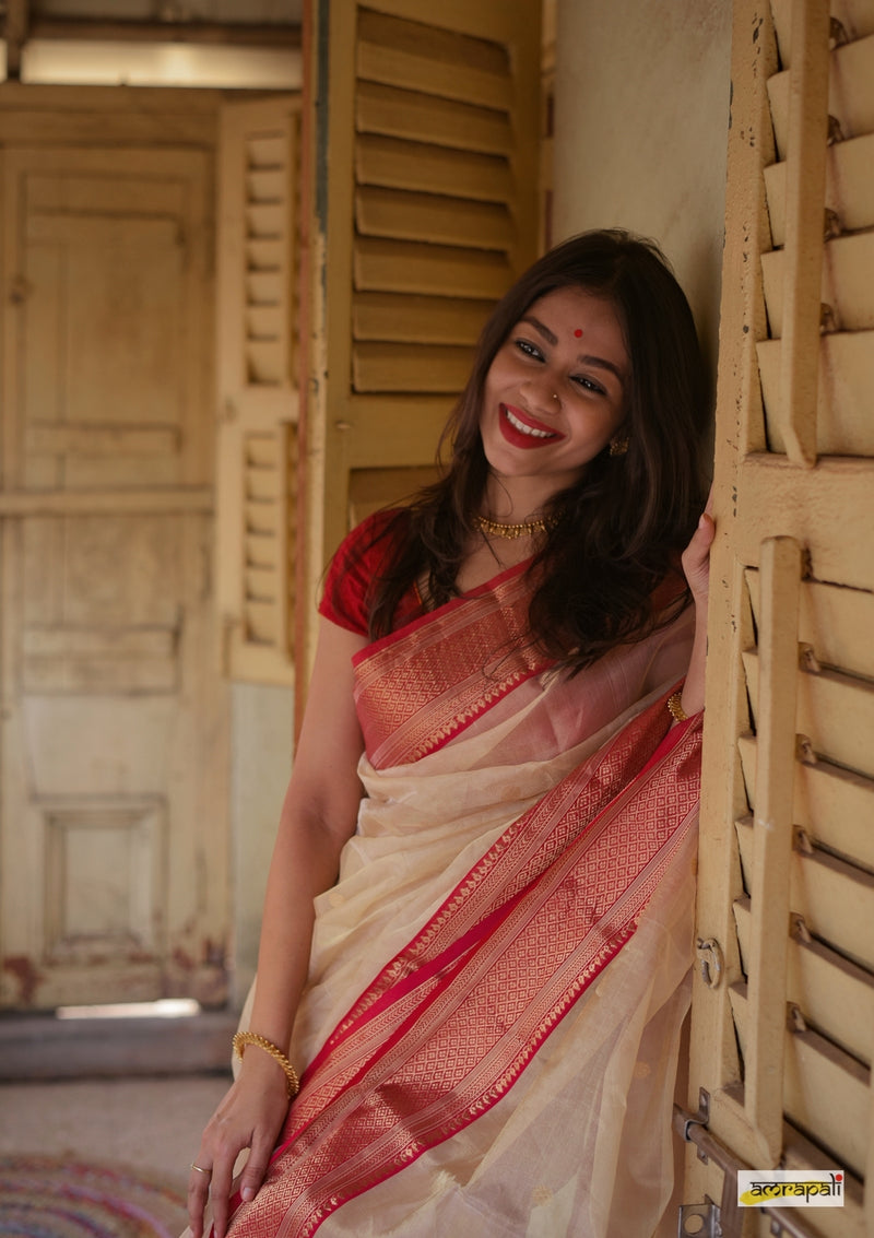 Handloom Chanderi Tissue Silk