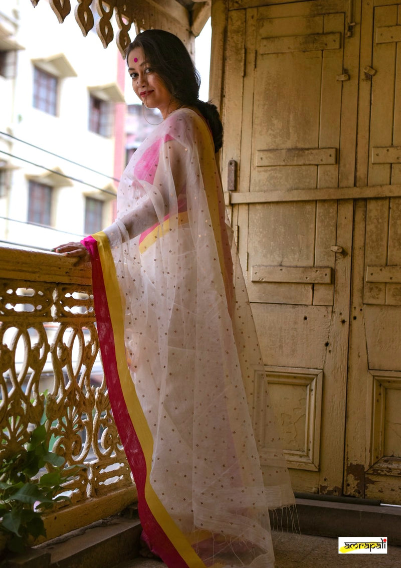 Handwoven Matka Resham with Woven Sequins