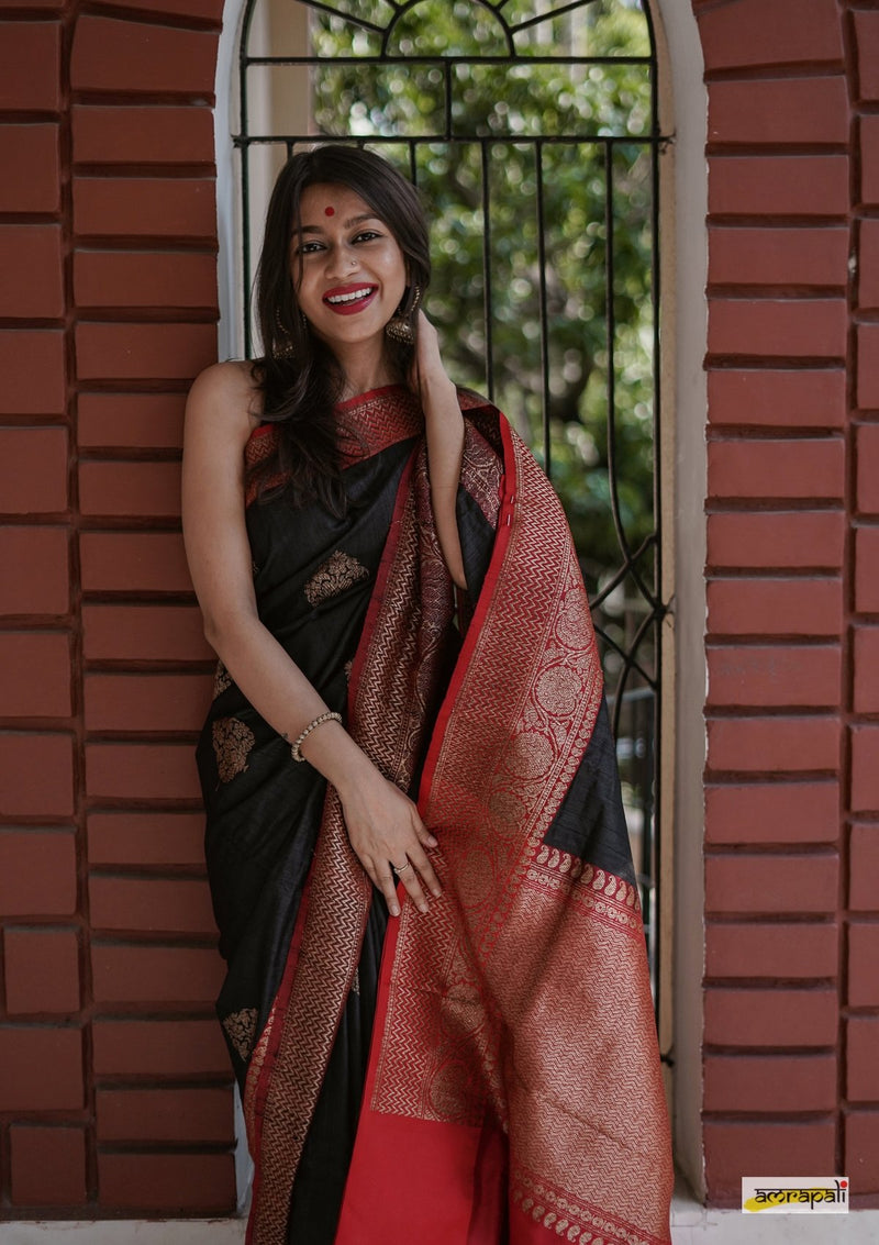 Handloom Black Pure Tussar Benarasi