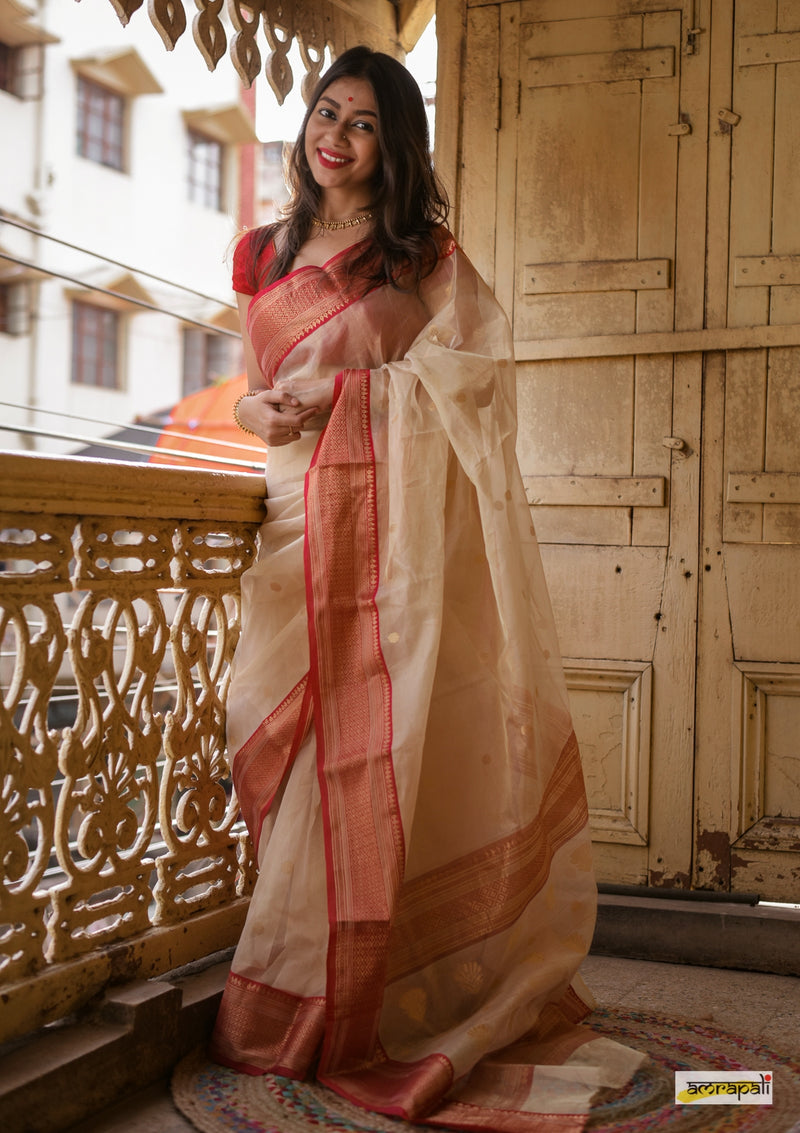 Handloom Chanderi Tissue Silk