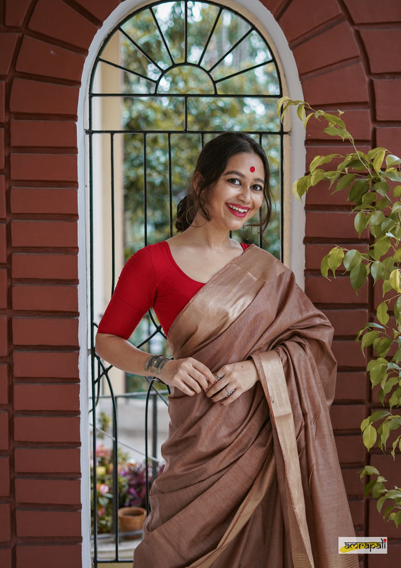 Cotton Silk with Zari Border
