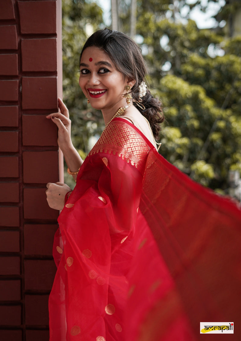 Red Handloom Pure Chanderi Katan Silk