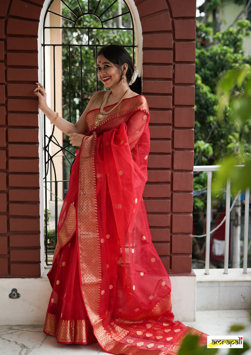 Red Handloom Pure Chanderi Katan Silk