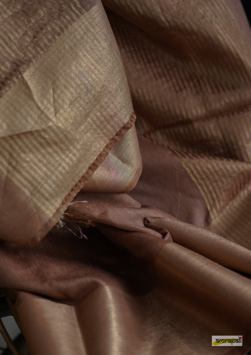 Cotton Silk with Zari Border