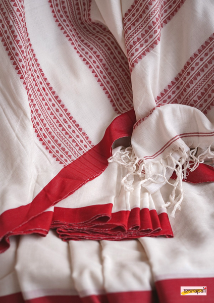 Handloom Cotton with Dual Striped Woven Palla – Amrapali Boutique