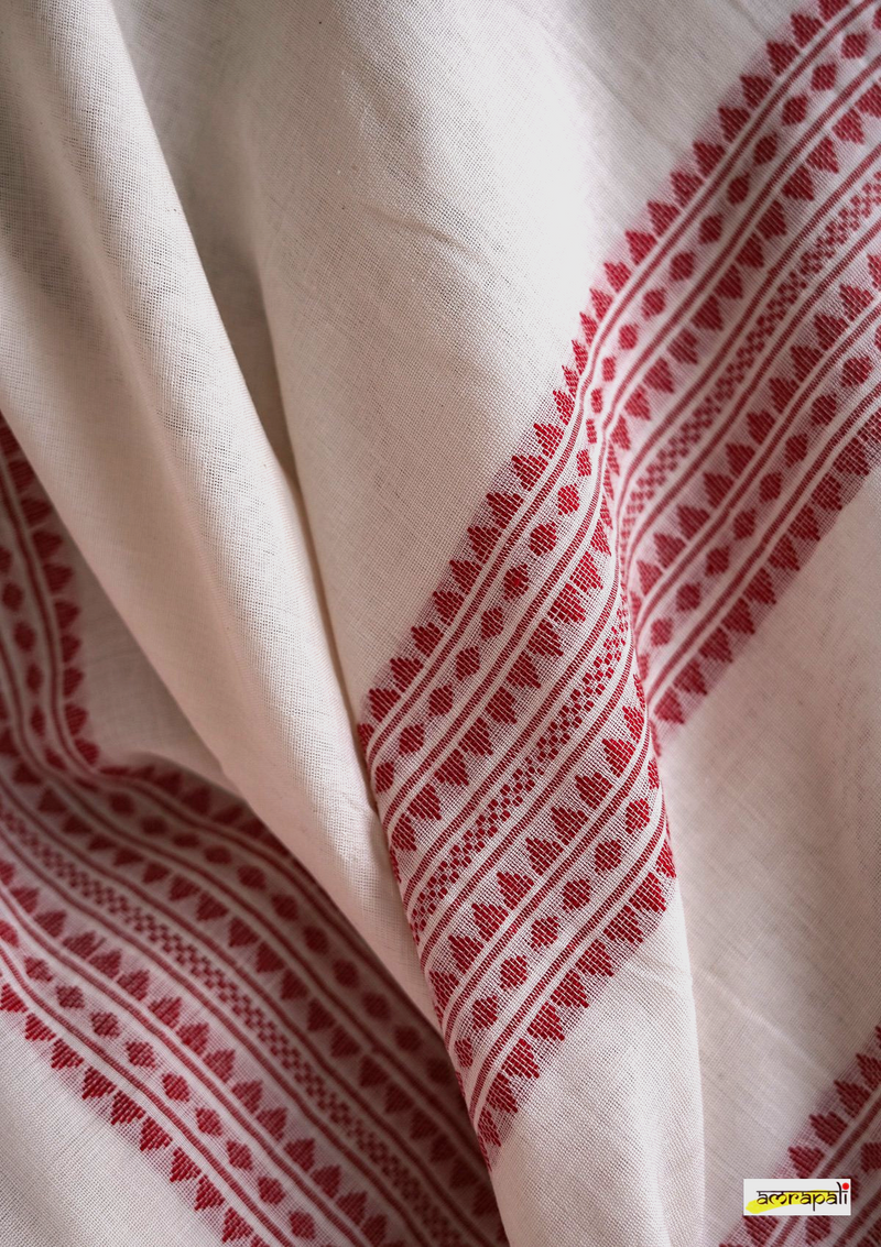 Handloom Cotton with Dual Striped Woven Palla